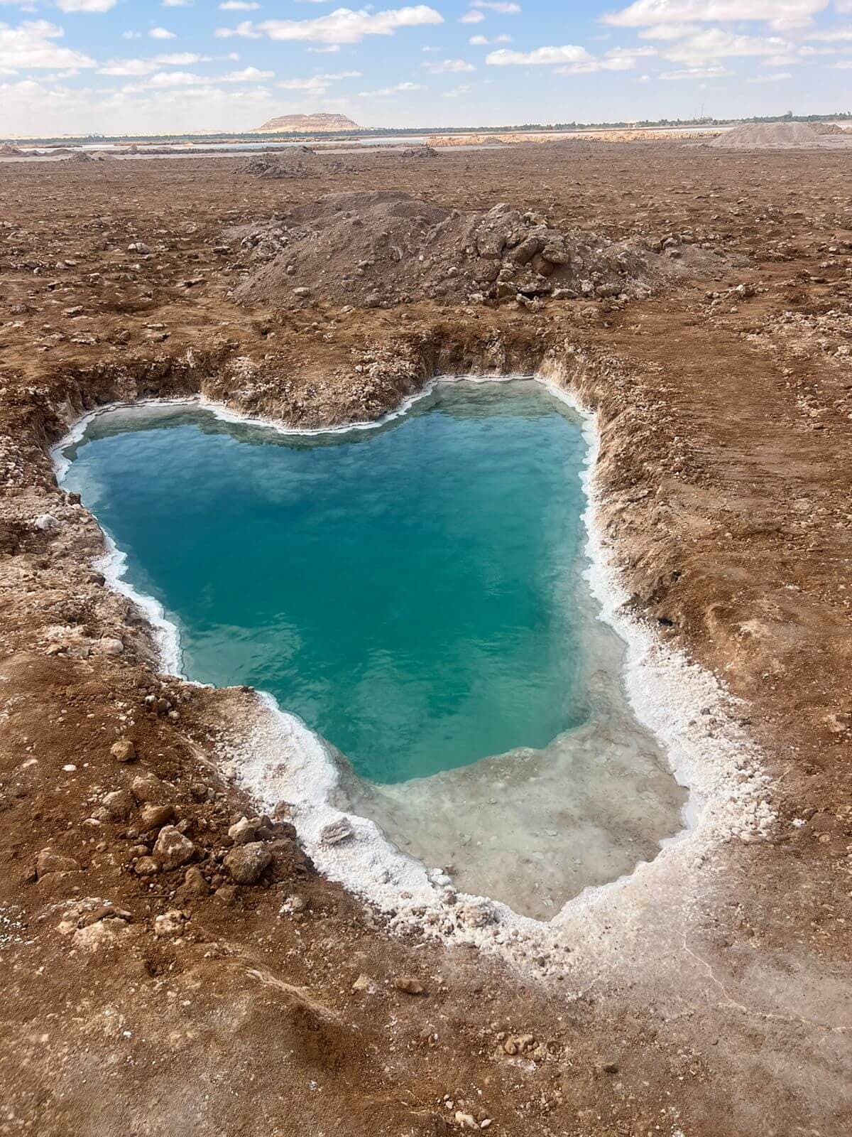 سيوة